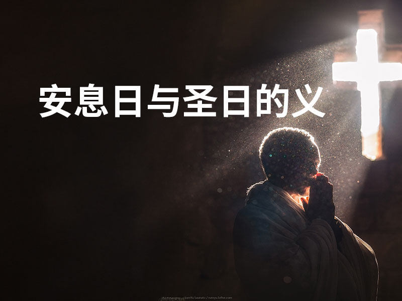 安息日与圣日的义